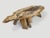 Andrianna Shamaris Live Edge Petrified Wood Coffee Table with Organic Teak Base For Sale - Image 17 of 18