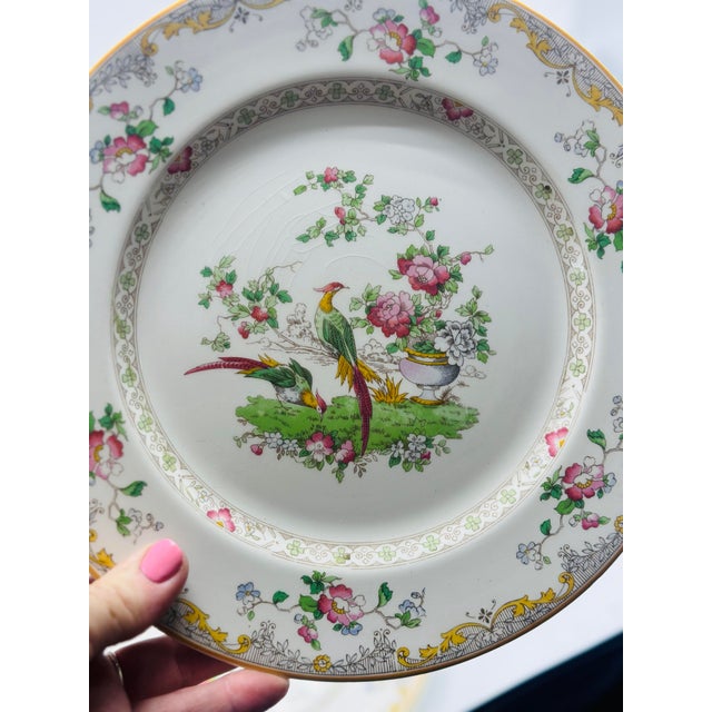 Chinoiserie Vintage Chinoiserie Plates, Set of Three For Sale - Image 3 of 7