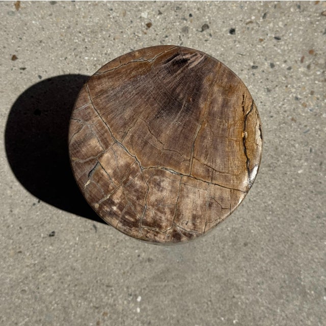 Small Side Table in Beige-Grey and Petrified Wood, 1980s For Sale - Image 12 of 18