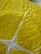 Mid-Century Secla Portuguese Yellow Majolica Cabbage Leaf Plates – Set of 4 For Sale In Los Angeles - Image 6 of 10