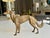 Bronze Sculpture of Borzoi or Russian Wolfhound For Sale - Image 17 of 17