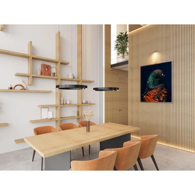 Contemporary Limited Edition Black Modena Bronze Shield Pigeon Print by Brendan Burden (40x50") For Sale - Image 4 of 4