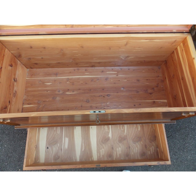 Early 19th Century West Branch Carved Cedar Chest For Sale In New York - Image 6 of 10