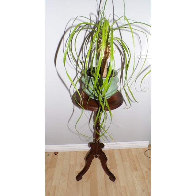 Late 19th Century Antique Victorian Plant Stand Eastlake Candlestick Table Tripod Bust Stand For Sale - Image 5 of 13