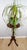 Late 19th Century Antique Victorian Plant Stand Eastlake Candlestick Table Tripod Bust Stand For Sale - Image 5 of 13