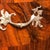 Baroque Chest of Drawers, Germany, 1750s For Sale - Image 8 of 9