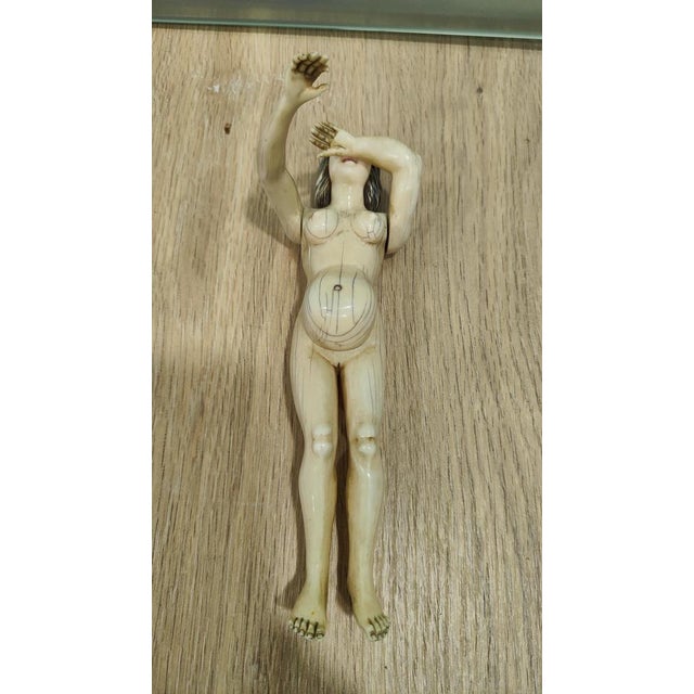 German Anatomical Model of a Pregnant Woman by Stephen Zick, 1700s For Sale - Image 16 of 18