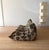 Michel Ducaroy 1980s Limited Edition 3-Seater Togo Sofa by Michel Ducaroy for Ligne Roset For Sale - Image 4 of 4