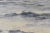 Vintage Steely Seascape Painting on Board, Signed by the Artist, Circa Mid-20th Century For Sale - Image 11 of 14