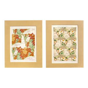 1905 Original French Art Nouveau Poster, Nouveaux Documents Decoratifs, Matted Floral Pattern - Habert-Dys (X2)