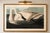 Not Yet Made - Made To Order Trumpeter Swan, 1827 – John James Audubon Vintage Bird Art Print, 12" X 8" For Sale - Image 5 of 6