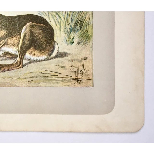 This adorable photogravure printed page is illustrated by P. Mahler, a German artist. The subject is of a long-legged...