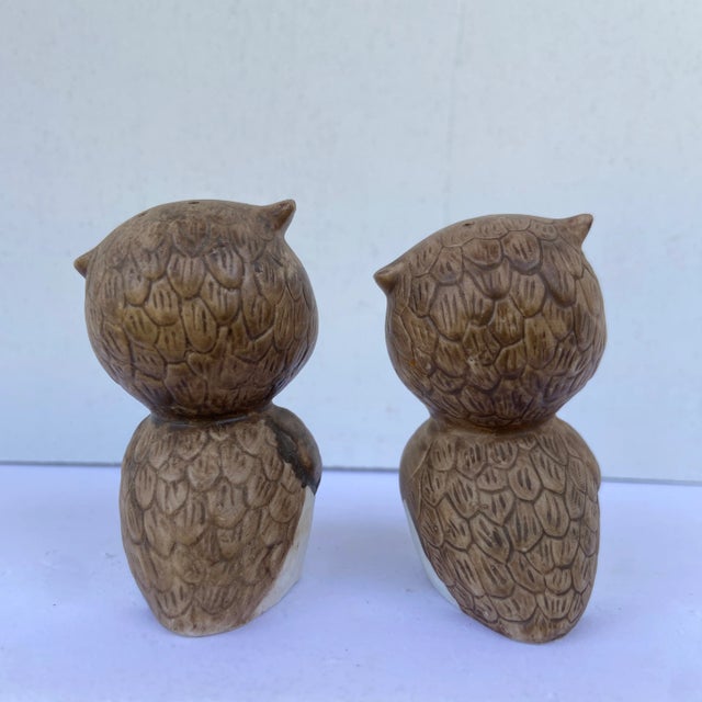 Mid 20th Century Mid-Century Owl Salt & Pepper Shakers- a Pair For Sale - Image 5 of 13