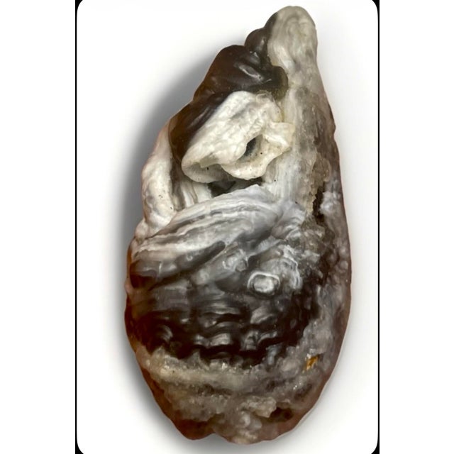 Alashan ‘bubble’ agate specimen from inner Mongolia with deep inner coiled banding, known locally as (Chán Sī), which...