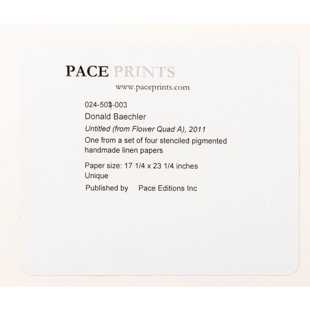 2010s Donald Baechler "Untitled (From Flower Quad A)" For Sale - Image 5 of 5