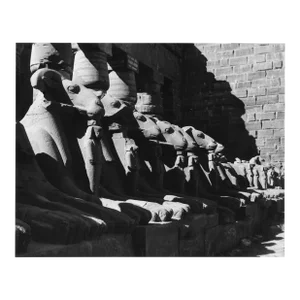1964 Egyptian Temple of Amon Ra Photograph by Don Ware