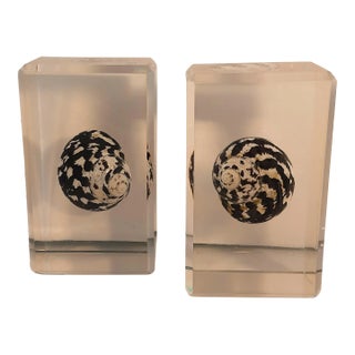 Lucite Acrlic Blocks Floating Shell Bookends Seashell For Sale