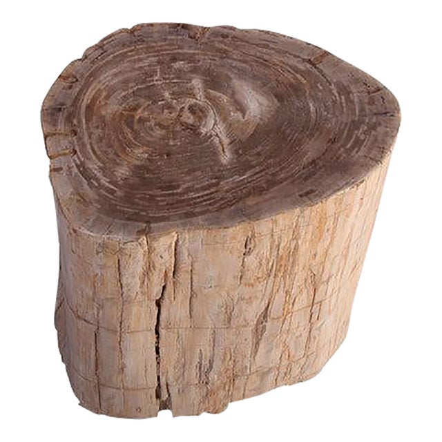Petrified Wood Stool Accent Table 214 For Sale