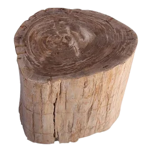 Petrified Wood Stool Accent Table 214
