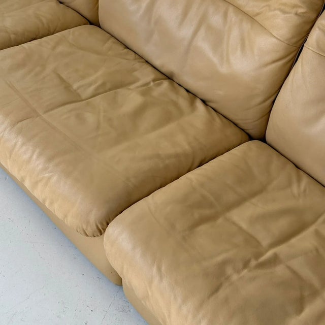 Mid-Century Modern Ds-66 Leather Sofa by De Sede For Sale - Image 3 of 12