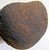 Vintage Makonde Tree of Life Ujamaa Wood Carving Sculpture For Sale - Image 16 of 17