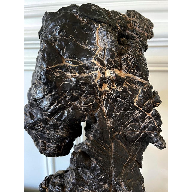 Large and Substantial Chinese Scholar Rock on Display Stand For Sale - Image 14 of 18