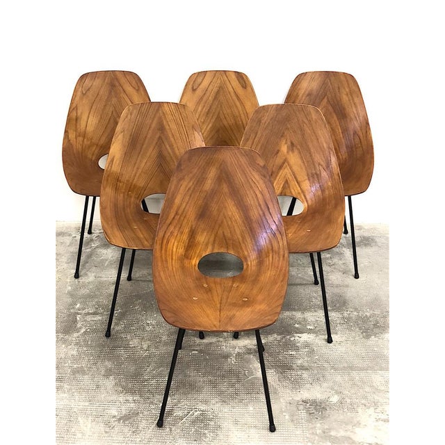 Black Dining Chairs attributed to Vittorio Nobili for Fratelli Tagliabue, 1950s, Set of 6 For Sale - Image 8 of 18