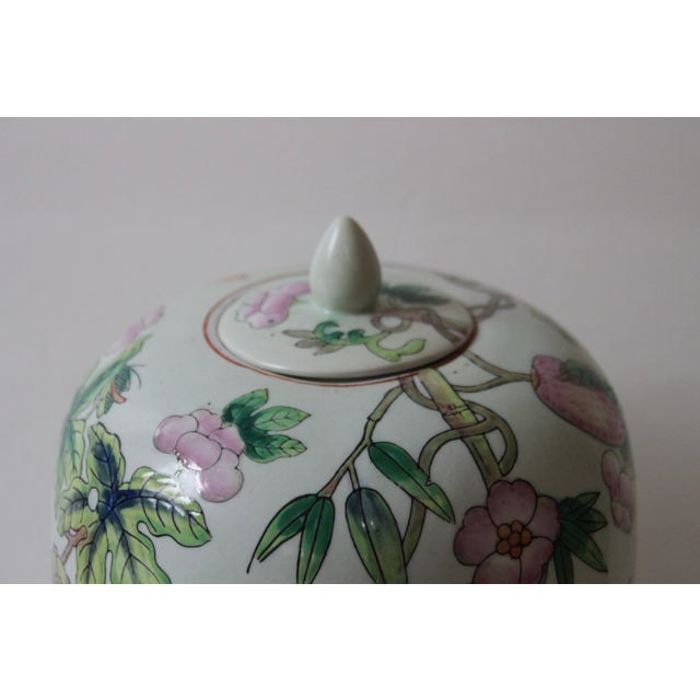 Mint Tropical Ginger Jar Chairish