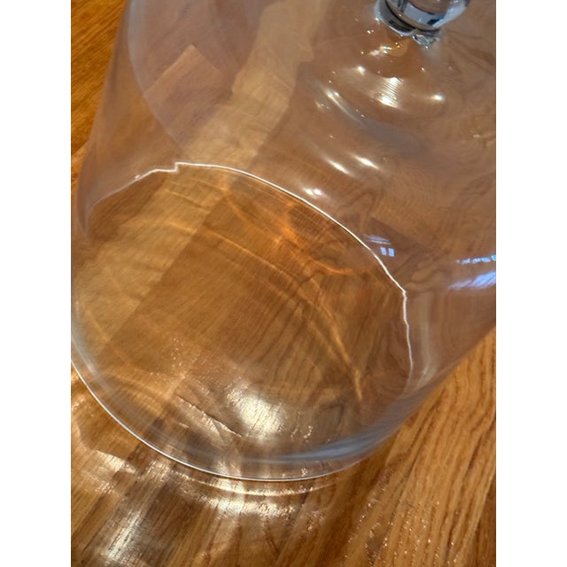 Decorative or practical cloche for preservation. horticulture or food items.