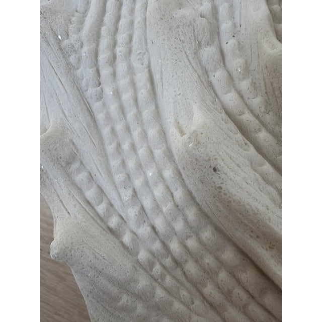 Large Vintage Beach Seashell Sculpture, White For Sale - Image 4 of 6
