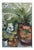 Hans Köhler, Balcony Plants, 1985, Watercolor For Sale