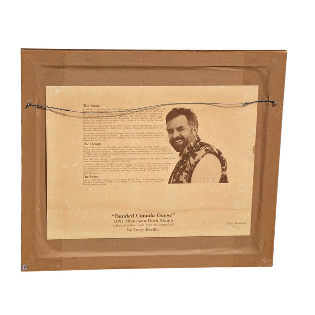 Framed 1981 Minnesota State Goose Stamp print by artist Terry Redlin, which also includes the original stamp. Signed and...