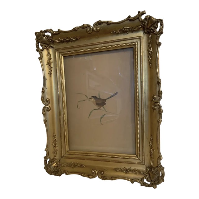 Adolphe Fourcaud, Bird on Branch, 18th Century, Watercolor, Framed For Sale