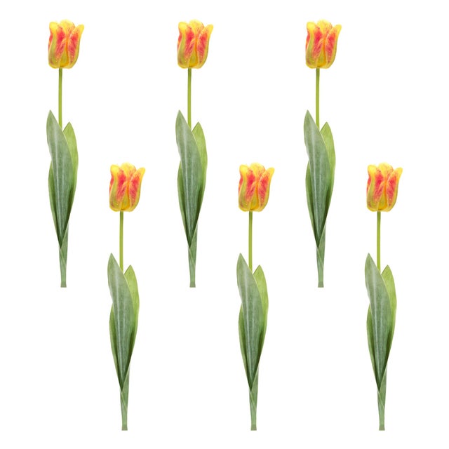 Rustic Tulip Floral Stem (Set of 6) For Sale - Image 3 of 3