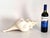 Vintage Large Natural Horse Conch Shell For Sale - Image 12 of 12