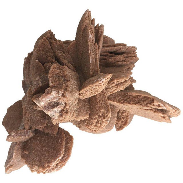 Stone Desert Rose Selenite Crystal Formation For Sale - Image 7 of 7