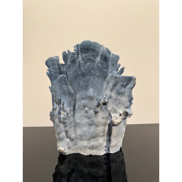 Shell Very Large Specimen of Blue Coral For Sale - Image 7 of 12