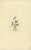 Curtis, Viola Palustris, 1817, Print For Sale