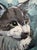 New Surroundings by Deb Komitor | Oil On Birch Panel Painting of a gray and white cat. For Sale - Image 4 of 4