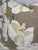 Transitional Raoul Textiles "Celeste" in Fog 22" Pillows-a Pair For Sale - Image 3 of 3