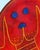 Vintage Ice Cream Platter by Sofia Wiberg, 2000s For Sale - Image 6 of 9