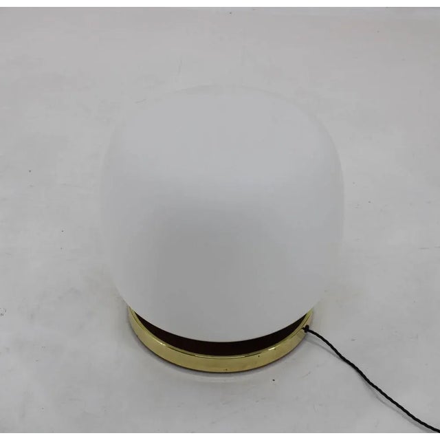 1950s Large Blown Glass Floor Lamp, Former Czechoslovakia, 1950s For Sale - Image 5 of 10