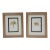 Framed Pair of Pressed Hydrangea Blossoms For Sale