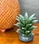 Vintage Monumental Hilario Alejo Madrigal Glazed Terracotta Pineapple For Sale - Image 14 of 14