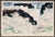Don Dennis (1923-2005) watercolor on heavy paper, signed lower right and inscribed AWS (American Watercolor Society)....