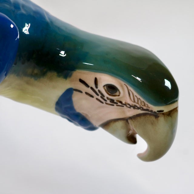 Mid-Century Royal Dux Porcelain Perching Macaw Parrot For Sale In Cincinnati - Image 6 of 14
