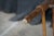 2 Antique American Country Oak Farmhouse Ladderback Chairs Cane Seat Pair For Sale - Image 14 of 18
