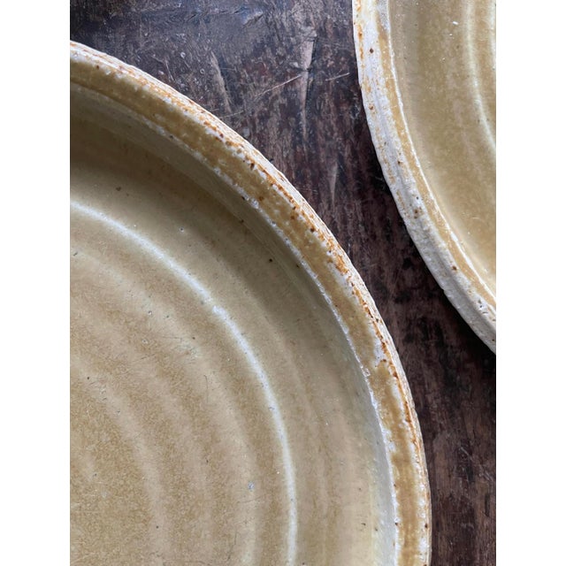 Early 20th Century Vintage Tuscarora Pottery Dinner Plates - Set of Seven (7) For Sale - Image 5 of 9