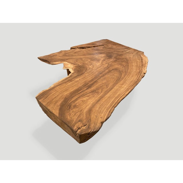 Andrianna Shamaris Massive Single Slab Suar Wood Live Edge Coffee Table For Sale - Image 4 of 18