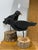 Black Late 20th Century Pair of Vintage John Brannon Folk Art Wooden Black Crows on Stands For Sale - Image 8 of 9
